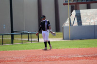Dirty Birds Softball